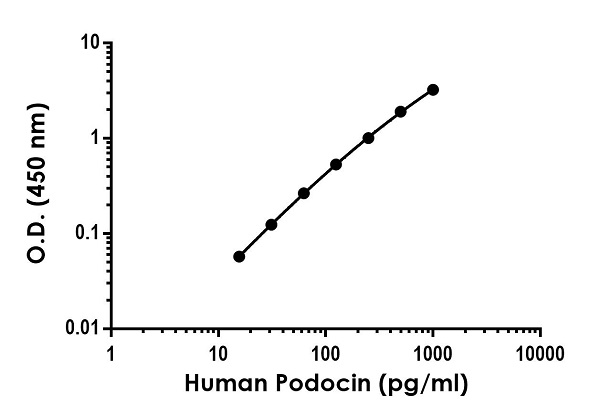 Sandwich ELISA - Anti-NPHS2 antibody [EPR22203-301] - BSA and Azide free (Detector) (AB259546)