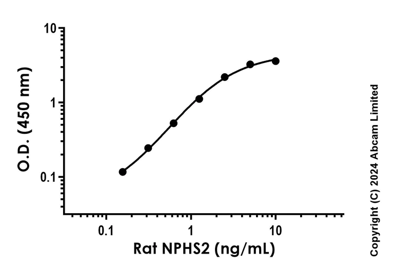 Sandwich ELISA - Anti-NPHS2 antibody [YCA-R23622-113 H1L3] - BSA and Azide free (Detector) (AB288629)