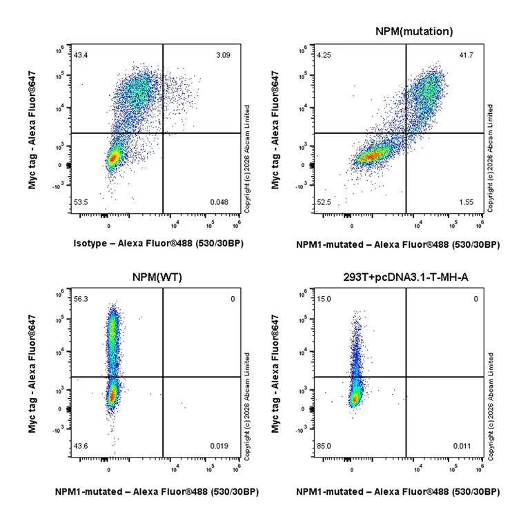 Flow Cytometry (Intracellular) - Anti-NPM1-mutated antibody [EPR30901-1] (AB326567)