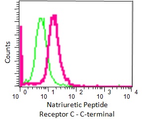 Flow Cytometry (Intracellular) - Anti-NPR-C antibody [EPR12716] - C-terminal (AB177954)