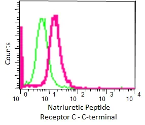 Flow Cytometry (Intracellular) - Anti-NPR-C antibody [EPR12716] - C-terminal (AB177954)