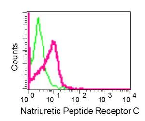 Flow Cytometry (Intracellular) - Anti-NPR-C antibody [EPR12716] - C-terminal (AB177954)