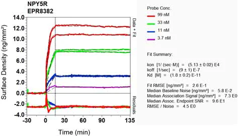OI-RD Scanning - Anti-NPY5R antibody [EPR8382] (AB133757)