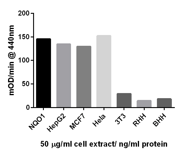Functional Studies - NQO1 Activity Assay Kit (AB184867), expandable thumbnail