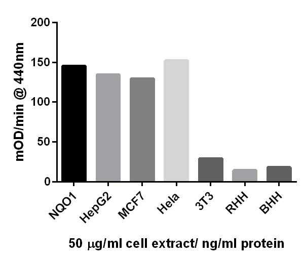 Functional Studies - NQO1 Activity Assay Kit (AB184867)