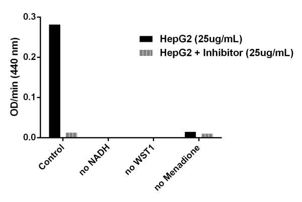 Functional Studies - NQO1 Activity Assay Kit (AB184867)