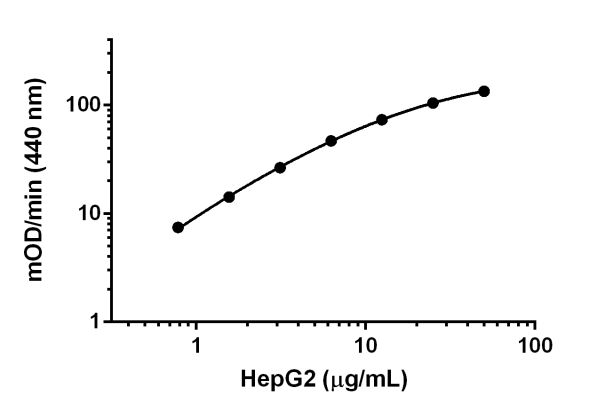 Functional Studies - NQO1 Activity Assay Kit (AB184867), expandable thumbnail