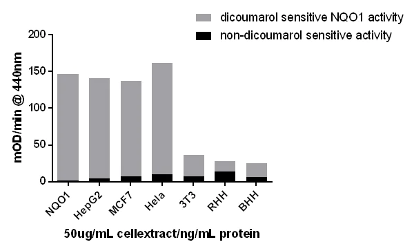 Functional Studies - NQO1 Activity Assay Kit (AB184867)