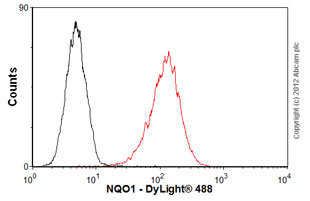 Flow Cytometry (Intracellular) - Anti-NQO1 antibody [A180] - BSA and Azide free (AB264434)