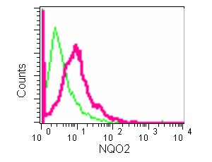 Flow Cytometry (Intracellular) - Anti-NQO2 antibody [EPR13345] (AB181049), expandable thumbnail