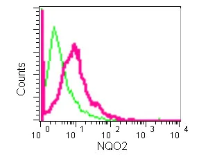 Flow Cytometry (Intracellular) - Anti-NQO2 antibody [EPR13345] - BSA and Azide free (AB250309)