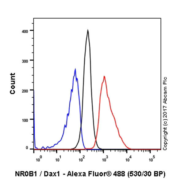 Flow Cytometry (Intracellular) - Anti-NR0B1 / Dax1 antibody [EP13786] - N-terminal (AB196649)