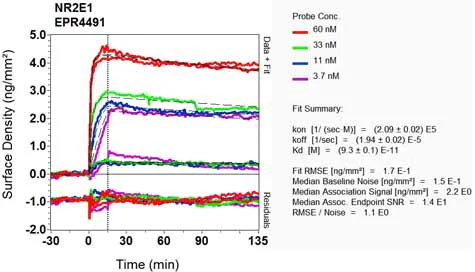 OI-RD Scanning - Anti-NR2E1/Tailless/TLX antibody [EPR4491] - BSA and Azide free (AB247783)