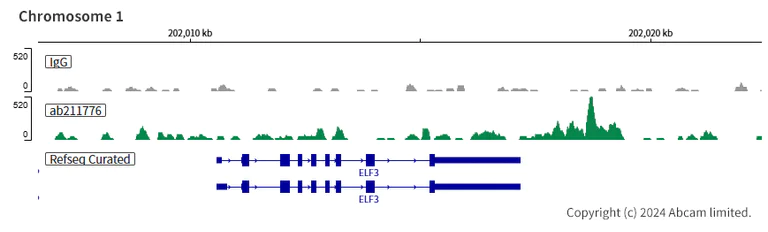 ChIC/CUT&RUN sequencing - Anti-NR2F2 antibody [EPR18442] - BSA and Azide free (AB240386)