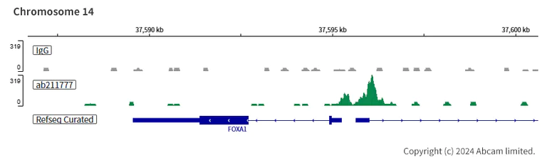 ChIC/CUT&RUN sequencing - Anti-NR2F2 antibody [EPR18443] - BSA and Azide free (AB240387)