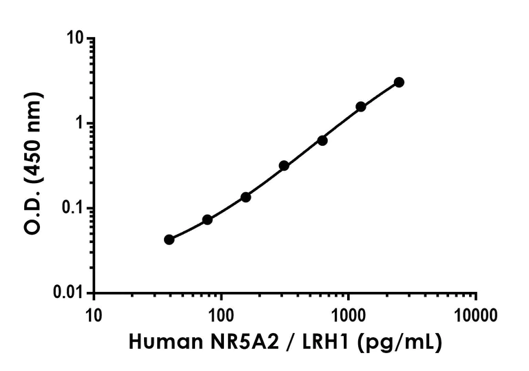 Sandwich ELISA - Anti-NR5A2 / LRH1 antibody [EPR26987-37] - BSA and Azide free (Detector) (AB308286)