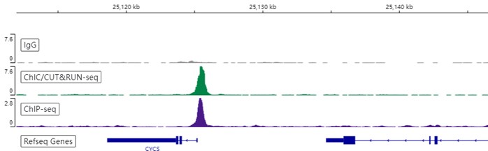 ChIC/CUT&RUN sequencing - Anti-NRF1 antibody [EPR5554(N)] - ChIP Grade (ab175932), expandable thumbnail