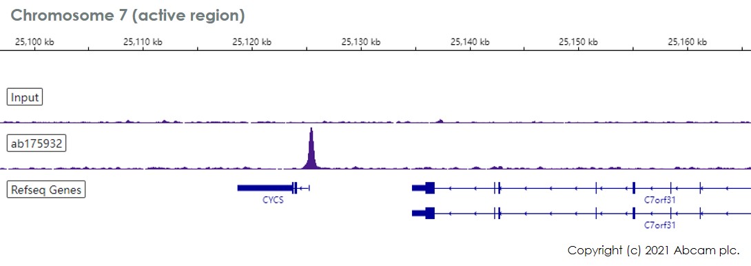 ChIP-sequencing - Anti-NRF1 antibody [EPR5554(N)] - ChIP Grade (AB175932), expandable thumbnail