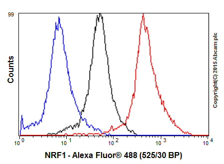 Flow Cytometry (Intracellular) - Anti-NRF1 antibody [EPR5554(N)] - ChIP Grade (ab175932), expandable thumbnail