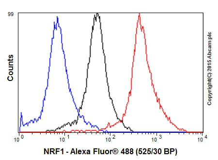 Flow Cytometry (Intracellular) - Anti-NRF1 antibody [EPR5554(N)] - ChIP Grade (AB175932)