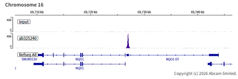 ChIP-sequencing - Anti-Nrf2 antibody [EPR30100-592] - BSA and Azide free (AB326605)