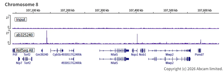 ChIP-sequencing - Anti-Nrf2 antibody [EPR30100-592] - BSA and Azide free (AB326605)