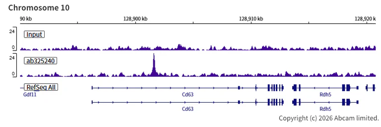 ChIP-sequencing - Anti-Nrf2 antibody [EPR30100-592] - BSA and Azide free (AB326605)