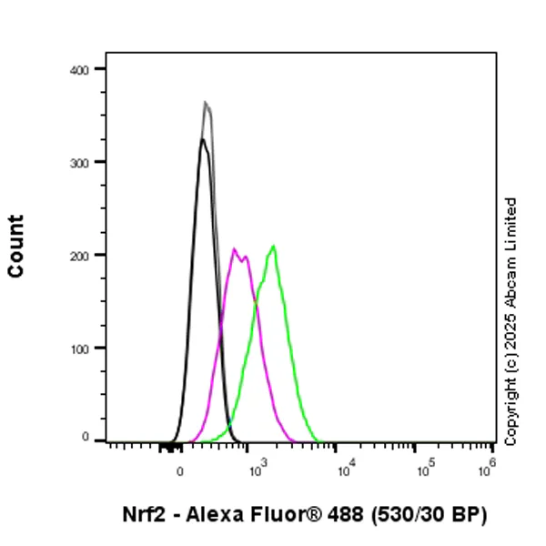 Flow Cytometry (Intracellular) - Anti-Nrf2 antibody [EPR30100-592] - BSA and Azide free (AB326605)