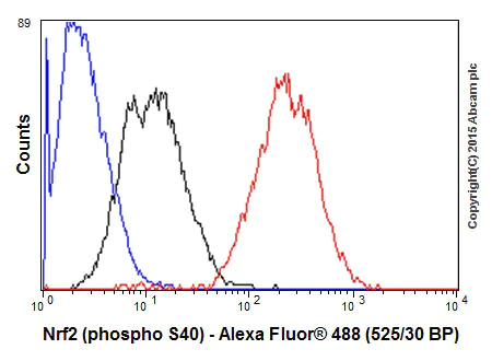 Flow Cytometry (Intracellular) - Anti-Nrf2 (phospho S40) antibody [EP1809Y] (AB76026)