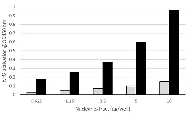 Functional Studies - Nrf2 Transcription Factor Assay Kit (Colorimetric) (AB207223)