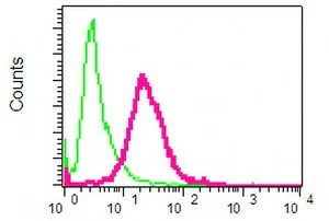 Flow Cytometry (Intracellular) - Anti-NRG3 antibody [EPR4148] (AB109256)