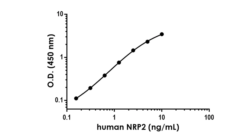Sandwich ELISA - Anti-NRP2 antibody [EPR23808-414] - BSA and Azide free (Detector) (AB300727)