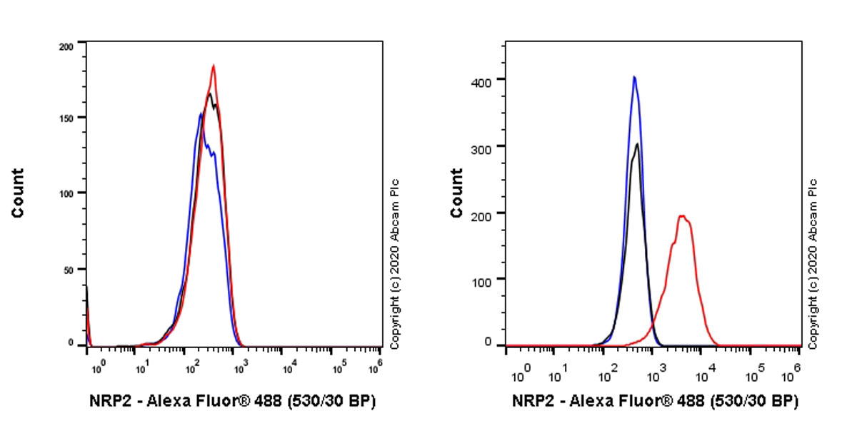 Flow Cytometry - Anti-NRP2 antibody [EPR23808-72] - BSA and Azide free (AB273591), expandable thumbnail