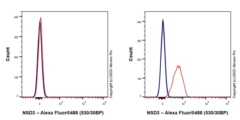 Flow Cytometry (Intracellular) - Anti-NSD3 antibody [EPR25189-8] (BSA and Azide free) (AB300490)