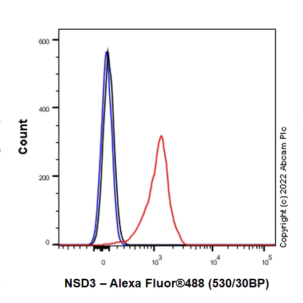 Flow Cytometry (Intracellular) - Anti-NSD3 antibody [EPR25189-8] (BSA and Azide free) (AB300490)