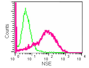 Flow Cytometry (Intracellular) - Anti-NSE antibody [EPR12483] (ab180943), expandable thumbnail