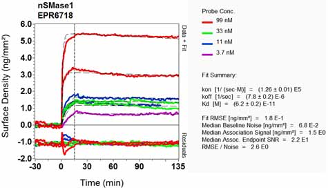 OI-RD Scanning - Anti-nSMase antibody [EPR6718] (AB131330), expandable thumbnail