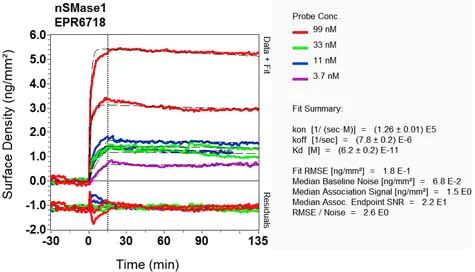 OI-RD Scanning - Anti-nSMase antibody [EPR6718] - BSA and Azide free (AB243913)