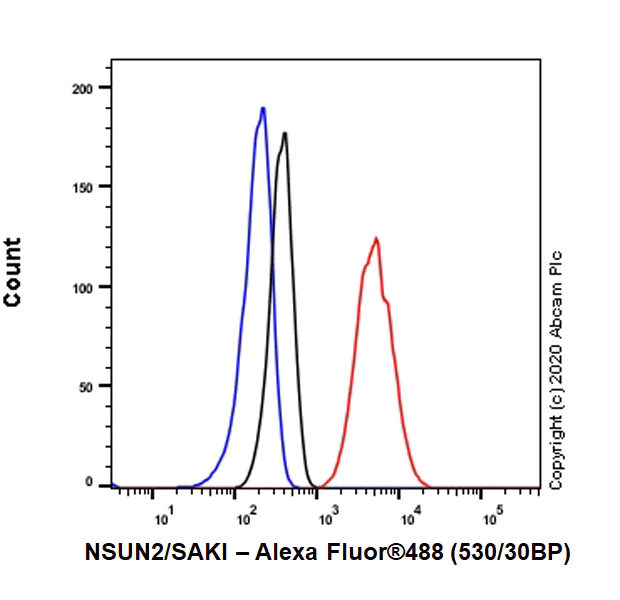 Flow Cytometry (Intracellular) - Anti-NSUN2/SAKI antibody [EPR24140-93] - BSA and Azide free (AB277534)