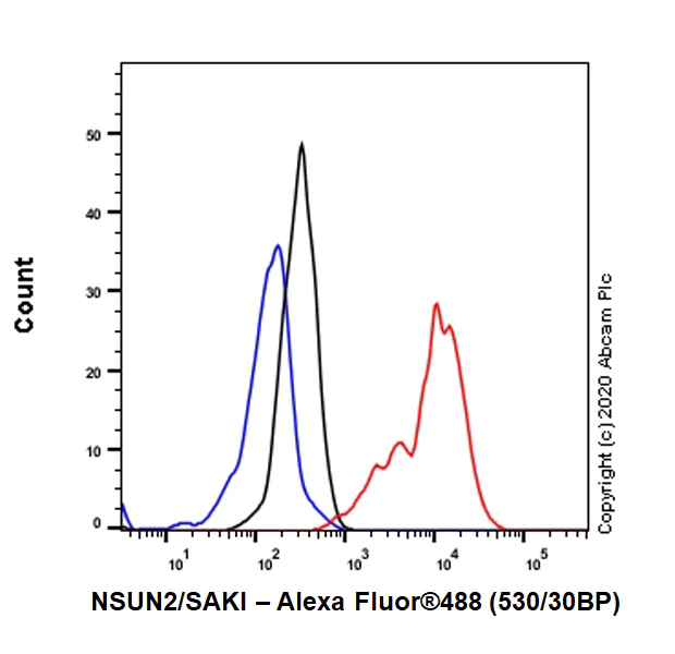 Flow Cytometry (Intracellular) - Anti-NSUN2/SAKI antibody [EPR24140-93] - BSA and Azide free (AB277534)