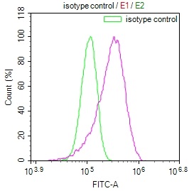 Flow Cytometry (Intracellular) - Anti-NTH1 antibody [22H10] (AB314192), expandable thumbnail