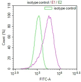 Flow Cytometry (Intracellular) - Anti-NTH1 antibody [22H10] (AB314192)