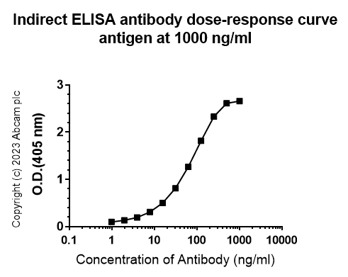 Indirect ELISA - Anti-NTT4 antibody [EPR28520-77] - BSA and Azide free (AB314145)