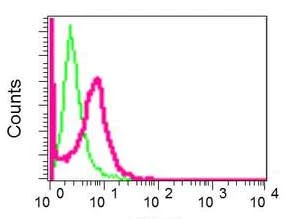 Flow Cytometry (Intracellular) - Anti-NUB1 antibody [EPR10716] (AB171077)