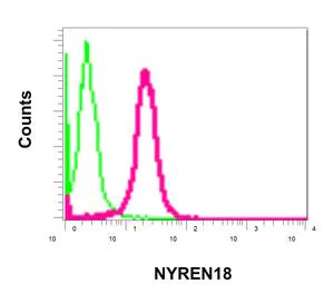 Flow Cytometry (Intracellular) - Anti-NUB1 antibody [EPR10717] - BSA and Azide free (AB250040)