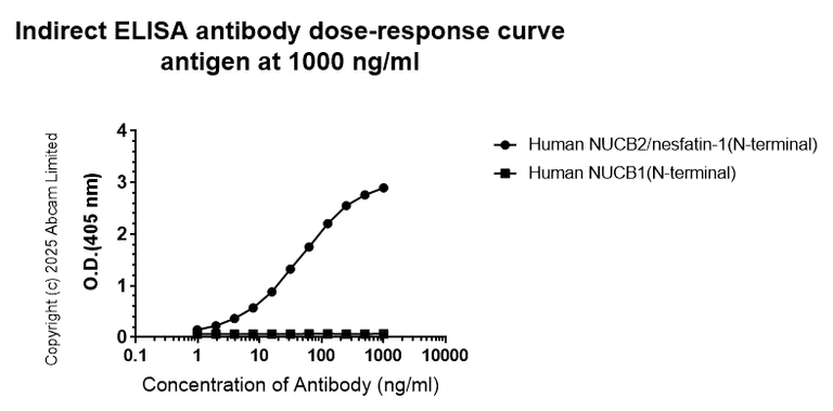 Indirect ELISA - Anti-NUCB2 antibody [EPR25883-49] (AB324610)
