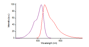 Functional Studies - Nuclear Green DCS1 (AB138905), expandable thumbnail