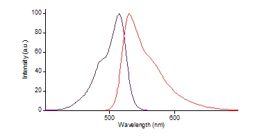 Functional Studies - Nuclear Green DCS1 (AB138905)