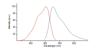 Functional Studies - Nuclear Green LCS1 (AB138904)
