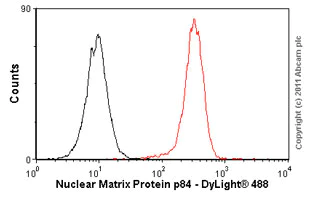 Flow Cytometry - Anti-Nuclear Matrix Protein p84 antibody [5E10] (AB487)